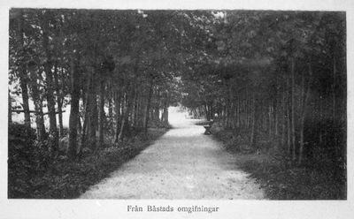 Trädalle med bänk, Båstads omgivningar